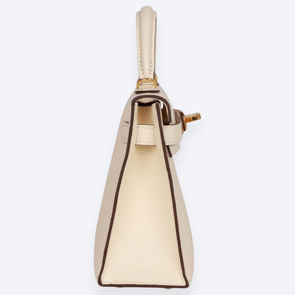 Iconic 20 Handbag